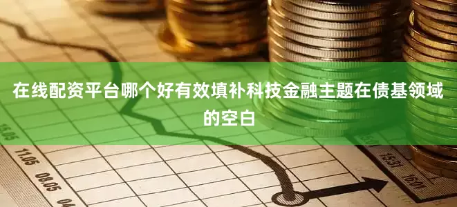 在线配资平台哪个好有效填补科技金融主题在债基领域的空白