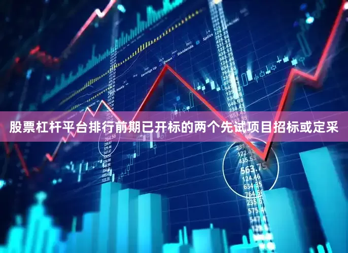 股票杠杆平台排行前期已开标的两个先试项目招标或定采