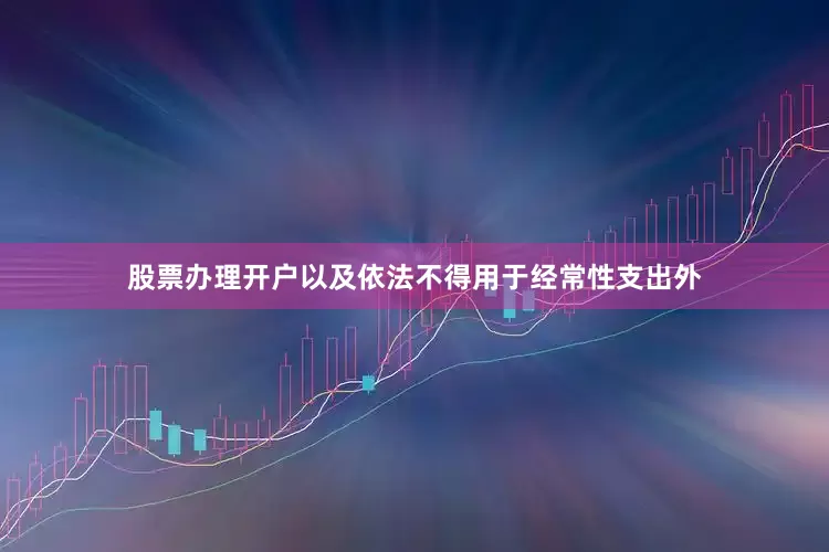 股票办理开户以及依法不得用于经常性支出外