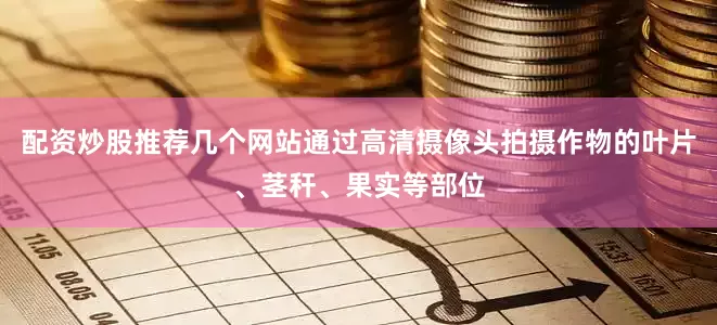 配资炒股推荐几个网站通过高清摄像头拍摄作物的叶片、茎秆、果实等部位