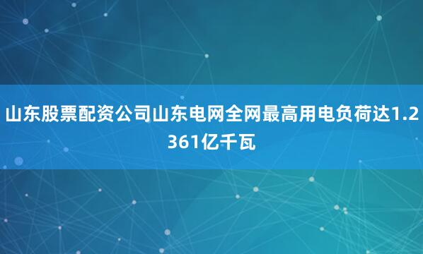 山东股票配资公司山东电网全网最高用电负荷达1.2361亿千瓦