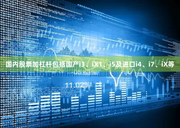 国内股票加杠杆包括国产i3、iX1、i5及进口i4、i7、iX等