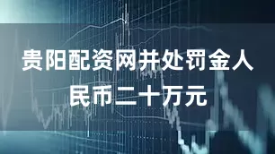 贵阳配资网并处罚金人民币二十万元
